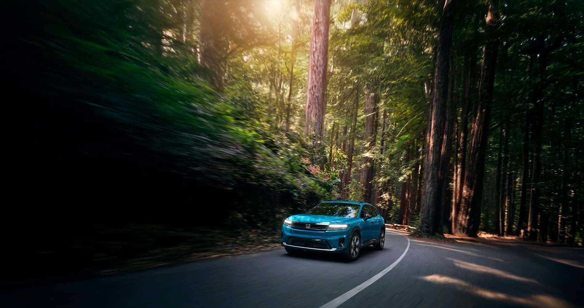 Electric Fleet Vehicles