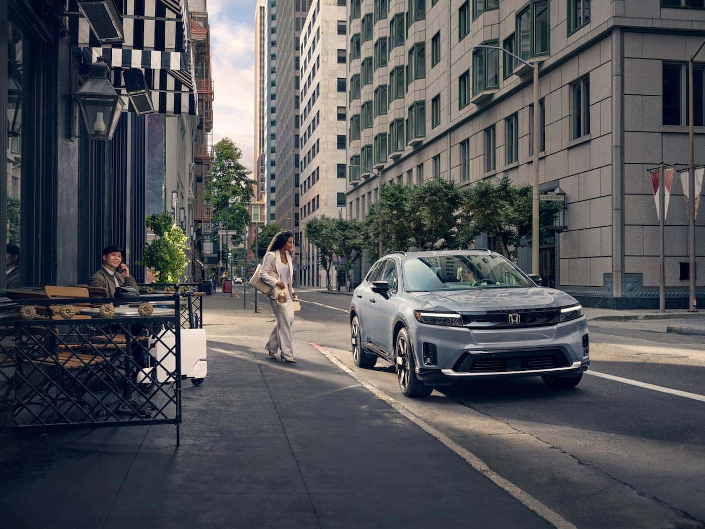 Electric Fleet Vehicles