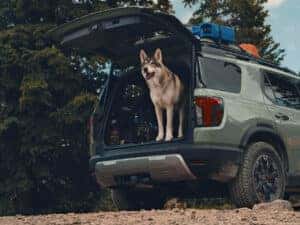 Adventure Vehicle of the Year Award