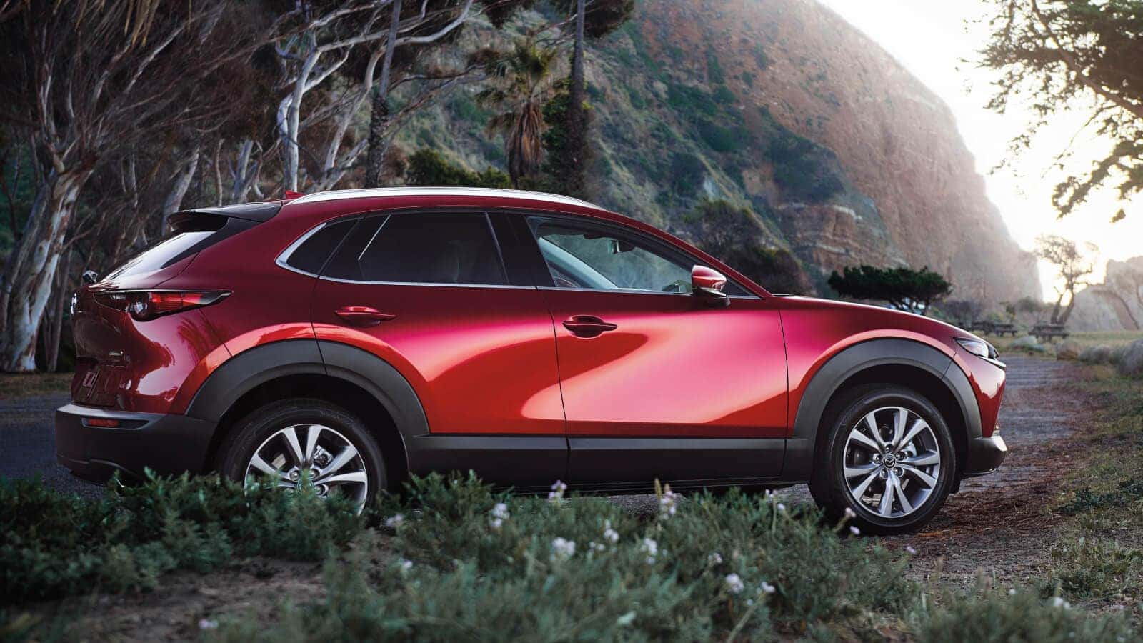Mazda CX-30 parked along a scenic coastal hillside, highlighting sleek design and compact SUV versatility