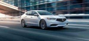 2019 Acura TLX in St Louis