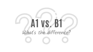 A1 vs B1