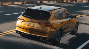 fla mdx type s