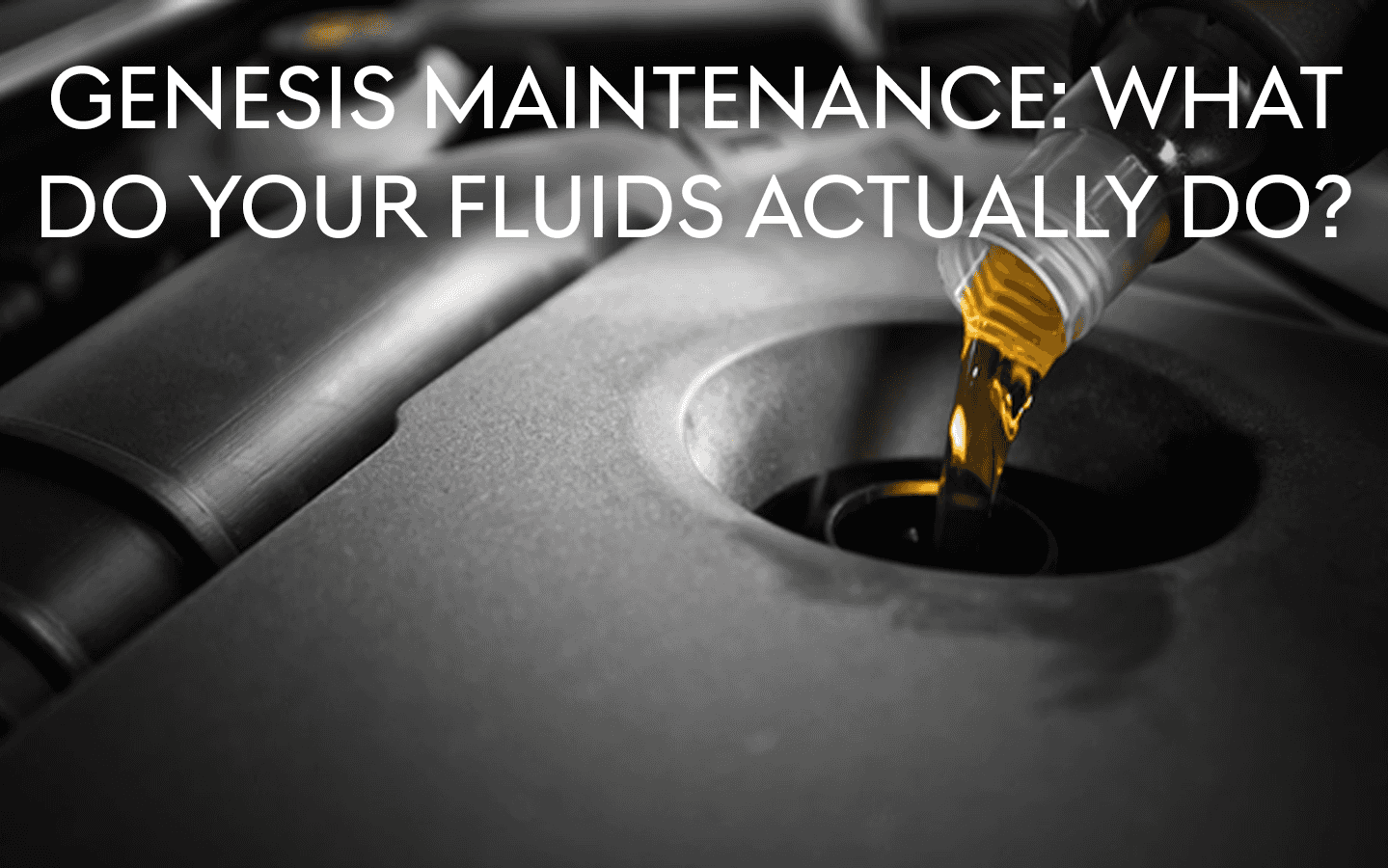 Genesis of Schaumburg guide to Genesis fluids and their functions