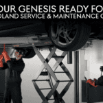 Get Your Genesis Ready for Fall: A Chicagoland Service & Maintenance Checklist