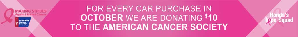 Making Strides Against Breast Cancer