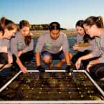 Honda Establishes Marine Science Foundation to Support Coastal Preservation