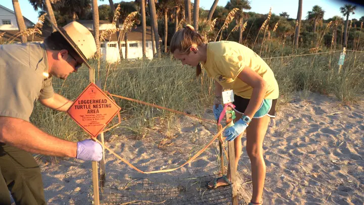 Honda supports the Sea Turtle Patrol of Edisto State Park