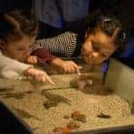 Two girls looking at a display in a museum