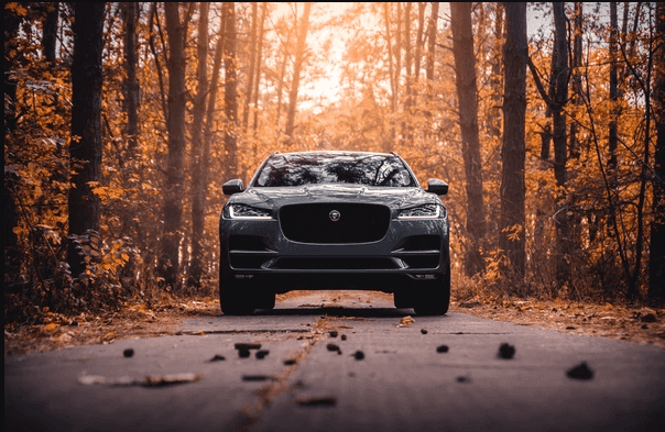 Jaguar FIlter