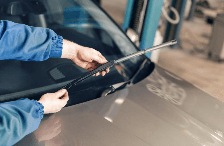 Windshield Wiper Blades