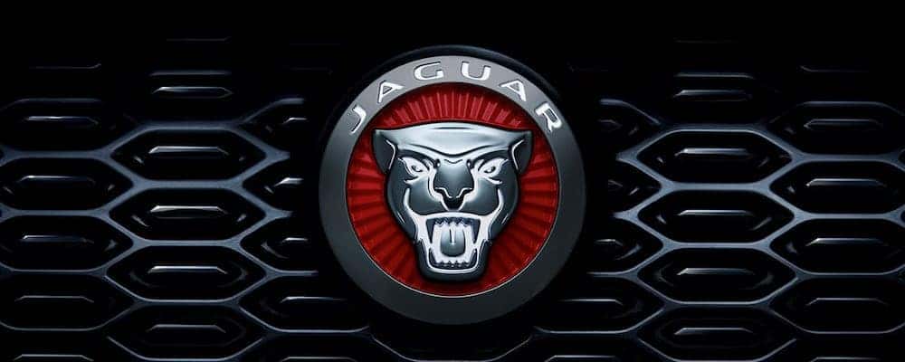 Jaguar Parts & Accessories Mainline | Jaguar Willow Grove