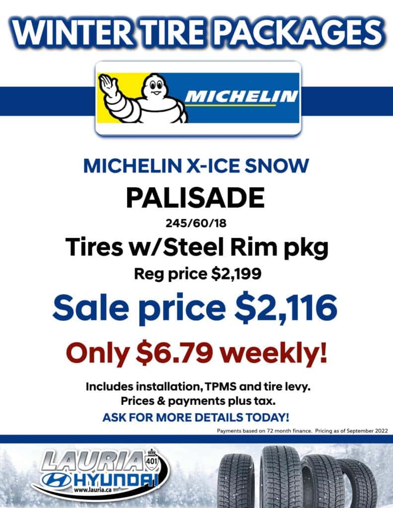 Hyundai Palisade Michelin