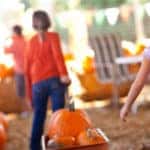 Cute Little Girls Pulling Their Pumpkins In A Wagon