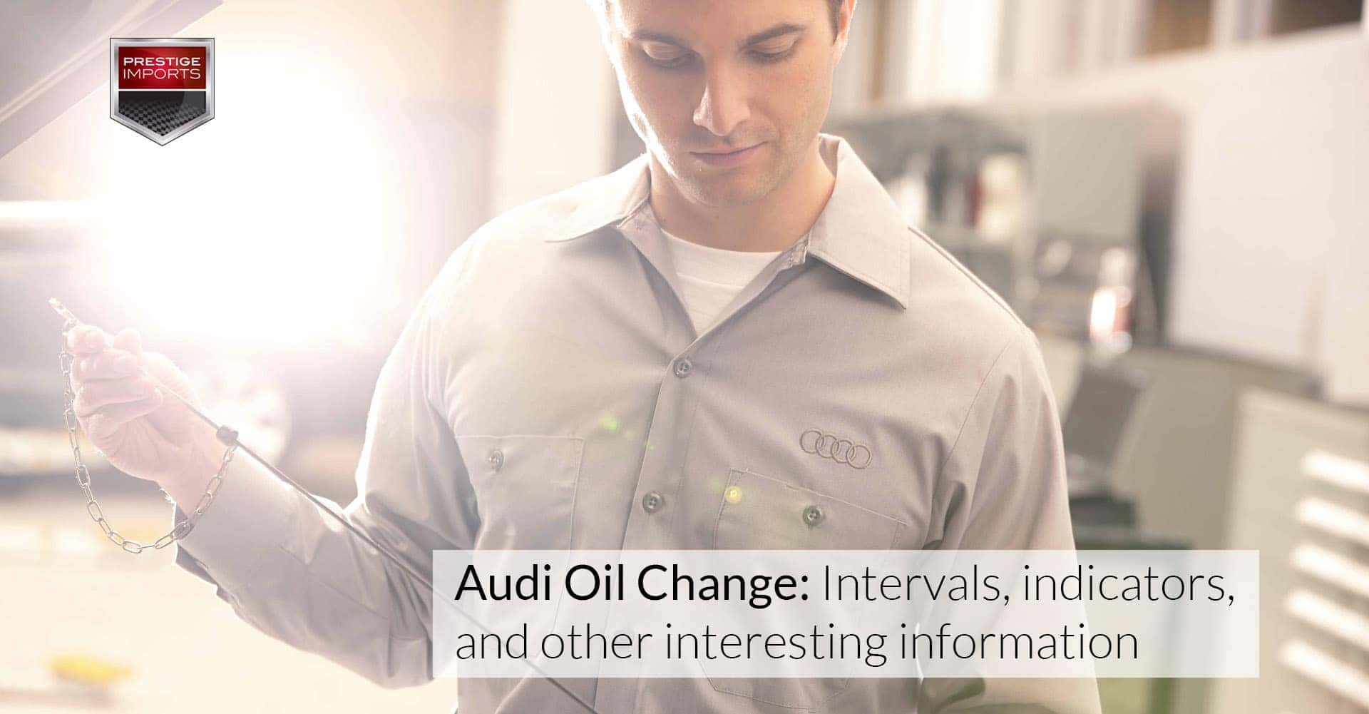 Audi oil change Intervals indicators and other interesting info