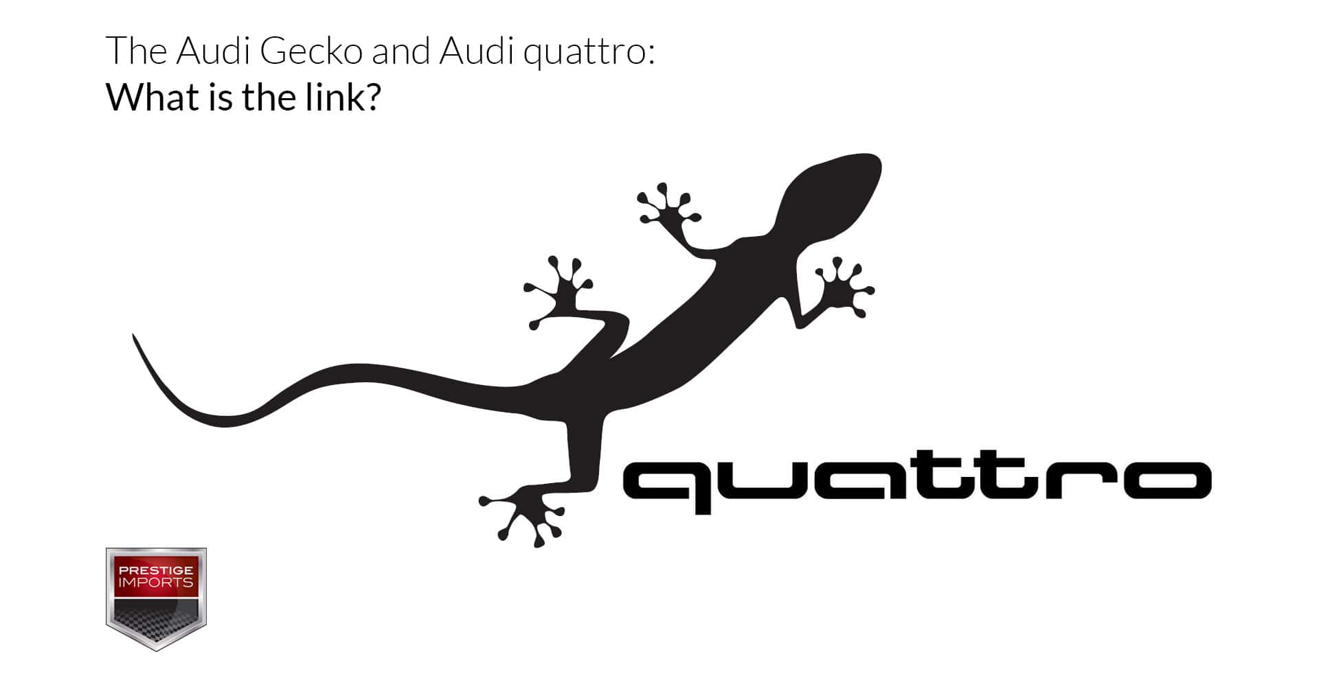 The Audi Gecko and Audi quattro What is the link