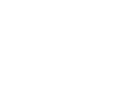 Ray Skillman Mazda West
