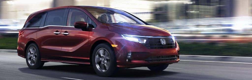 2023 Odyssey Special APR 