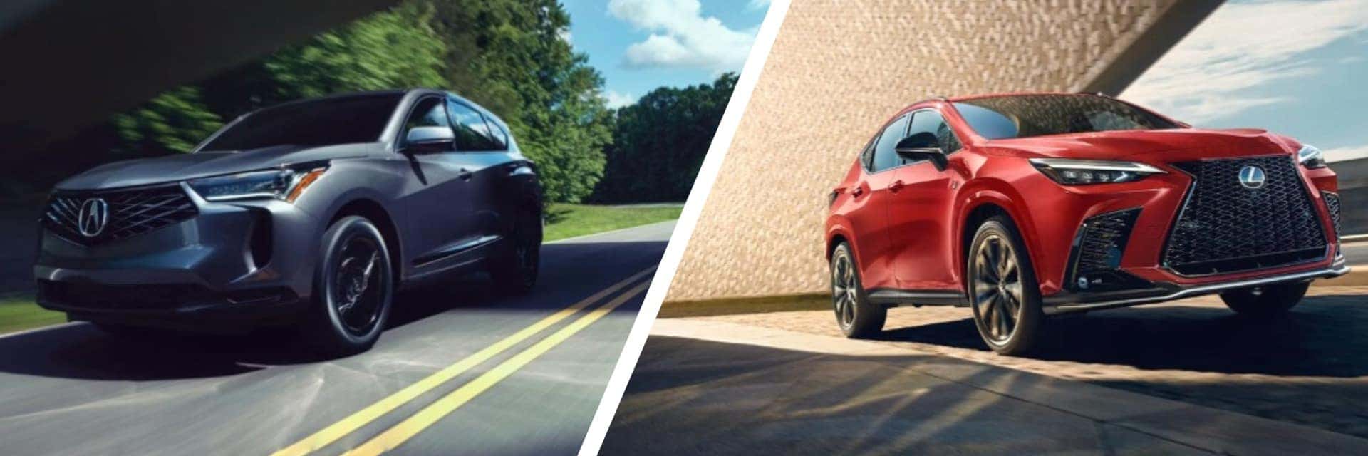 2025 Acura RDX vs 2025 Lexus NX