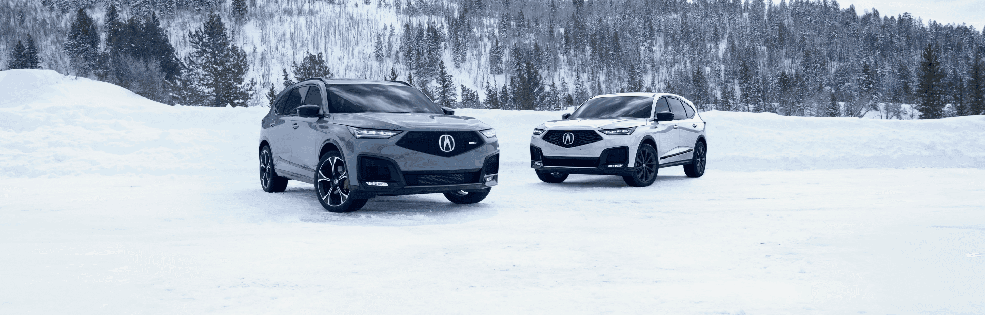 2025 Acura MDX vs 2025 Lexus RX