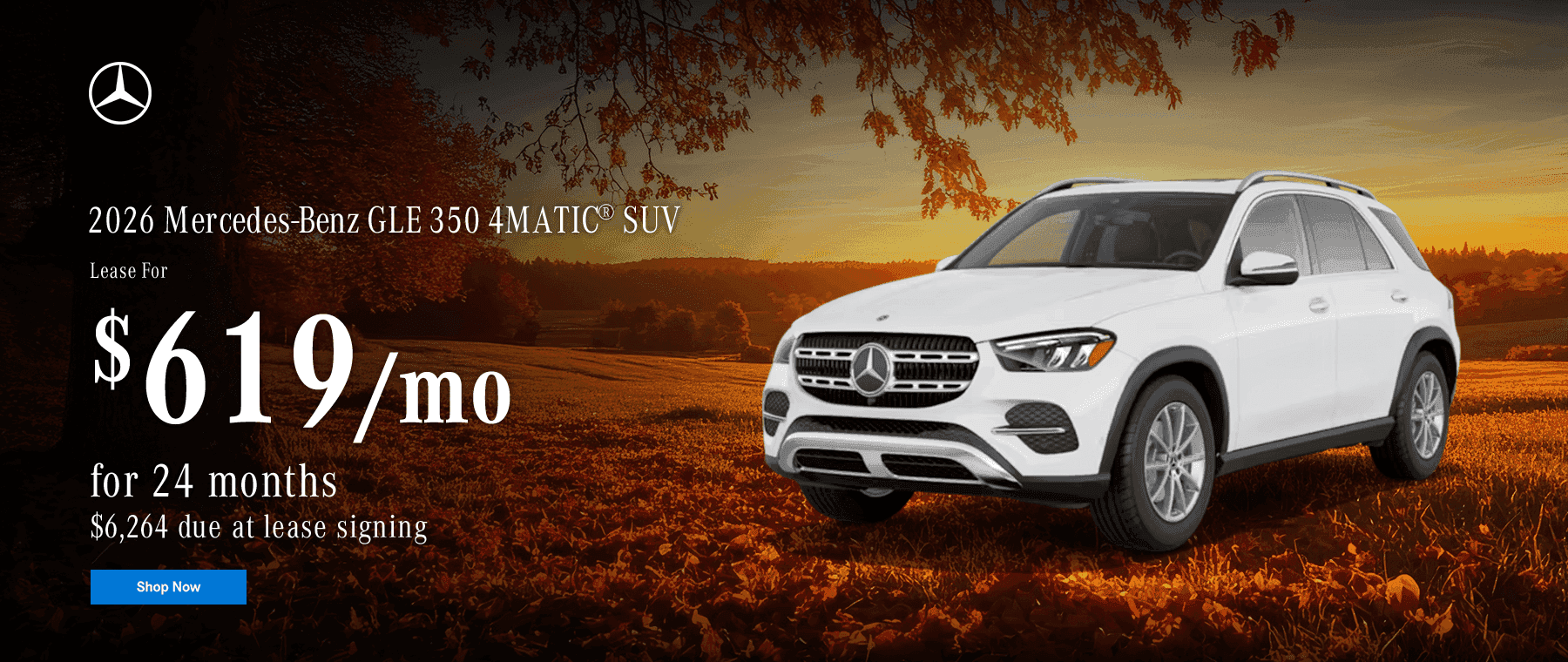 GLE Offer