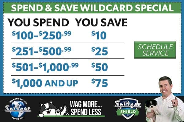 Spend & Save Wildcard Special