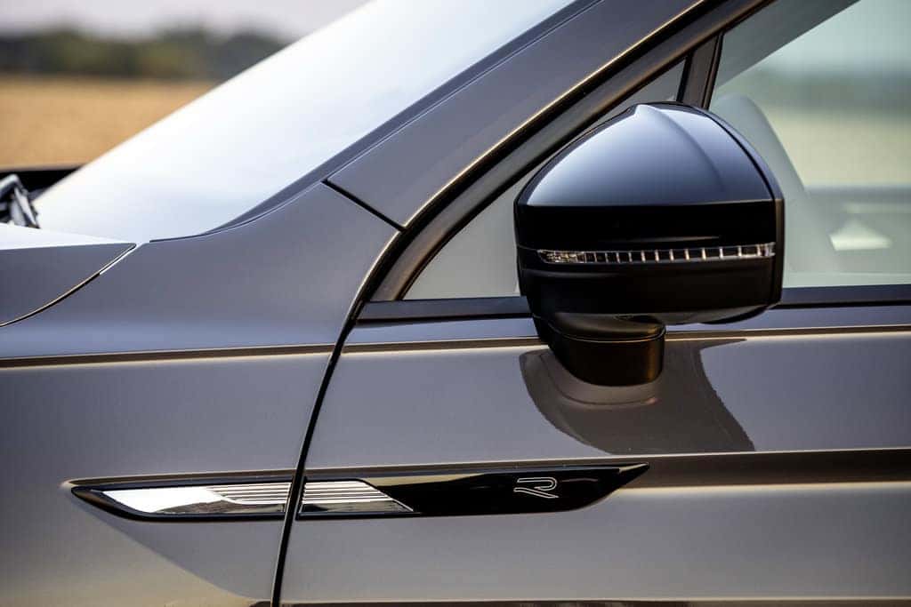 Volkswagen Tiguan SUV Gray Door