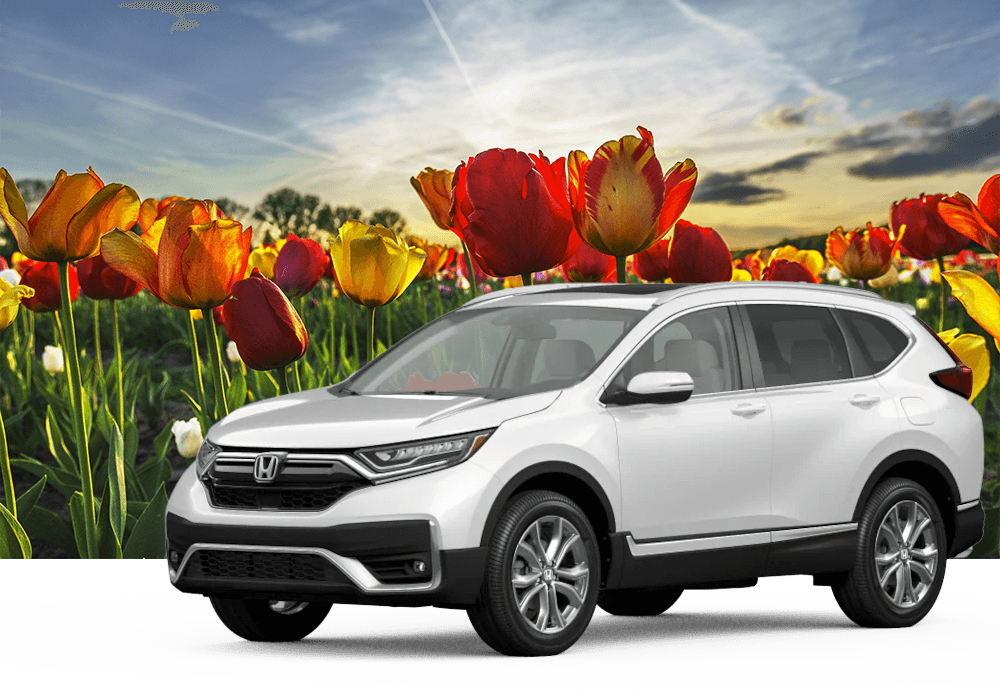 Honda Dealership Near Orange City, Iowa Vern Eide Honda Sioux City